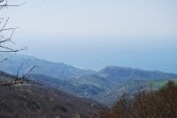 Monte cucuzzo  Aprile 2018 (30)